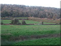 Part of the Gordano Valley