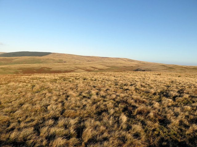 Silverton Hill © Andrew Curtis cc-by-sa/2.0 :: Geograph Britain and Ireland