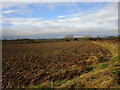 Ploughed field