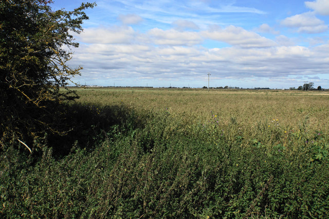 Fallow farmland near Lowes Farm © Bill Boaden :: Geograph Britain and ...