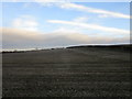 Stubble field near White Post