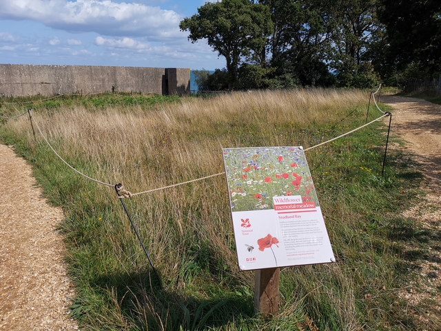 Willdfower memorial meadow at Fort Henry, above Studland Bay
