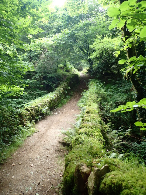 The moss covered Glen Bridge in the... © Eric Jones :: Geograph Ireland