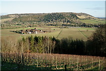 TQ1550 : View From Denbies Vineyard by Peter Trimming