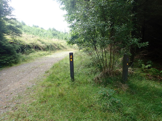 Way marked Tain Way Trail in Ravensdale... © Eric Jones cc-by-sa/2.0 ...