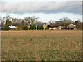 Farmland east of Gooseberry Farm