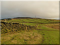 Field pattern below Rivock Edge