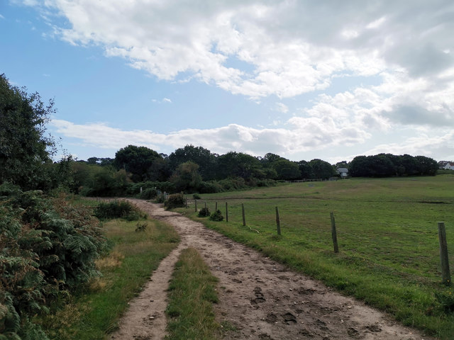 A bridleway near Godlingston Heath © Phil Champion :: Geograph Britain ...