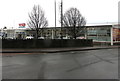 Deciduous trees on the NE side of Tesco, Lydney