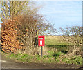 TA1740 : Elizabeth II postbox on Beverley Road, Whitedale by JThomas