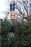 TF1509 : Signs on Lamppost by Bob Harvey