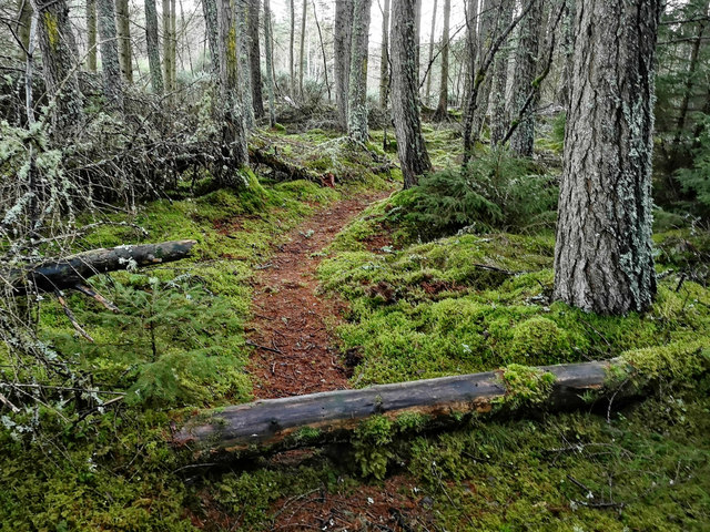 Perimeter path of Schoolhouse Wood © Julian Paren cc-by-sa/2.0 ...