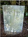 Old Milestone by the A3072 at Kitts Farm