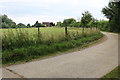 Track to Bury Farm, Great Canfield