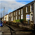 Main Road houses, Crynant