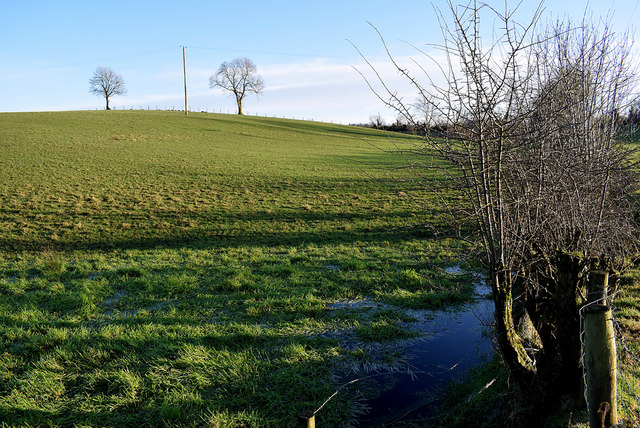 Wet ground, Donaghanie