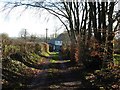 Track to Creacombemoor Cottage