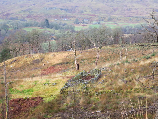 Remains of an old croft house in an area of clearfell