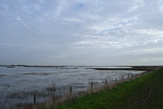 High tide: Allfleets Marsh