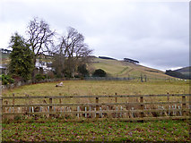 NT7825 : Field with tennis court, Linton Burnfoot Farm by Robin Webster
