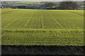 Fields Near Monikie Country Park