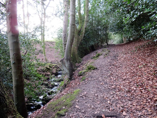 Path by the beck