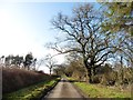 Minor road to Witheridge