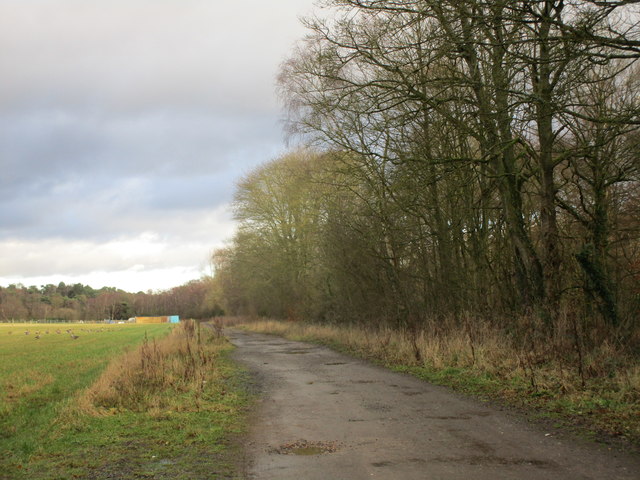 Track off Blidworth Lane © Jonathan Thacker :: Geograph Britain and Ireland