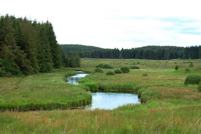 The River Bladnoch at Waterside
