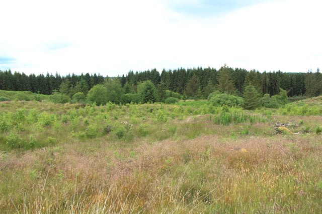 Cleared plantation beside the Southern Upland Way