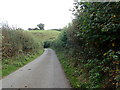 Narrow country lane