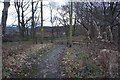 Southern Upland Way towards Boleside Road