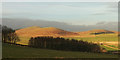 NU0314 : Hills near Fawdon by Derek Harper