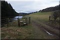 Riverside path towards Yair Bridge