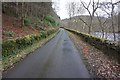 Southern Upland Way towards Howlands Plantation