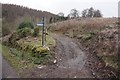 Southern Upland Way towards Howlands Plantation