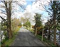 View South along the northern section of the Newry Greenway