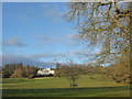 Linton Park seen across its park