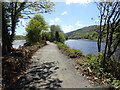 Sunny May morning on the Newry Greenway