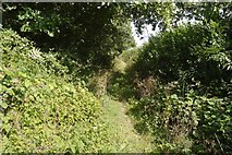 SO5748 : Green Lane, Felton by Richard Webb