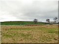 Morley service reservoir