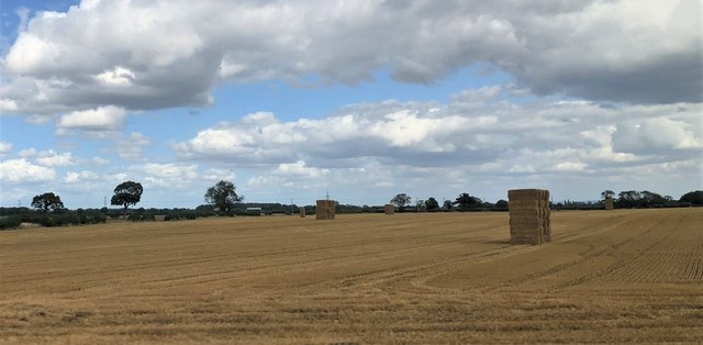 Hay Bales near Shipton Grange