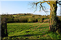 An open field, Corbally