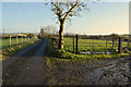 Oughterard Road and muddy side lane