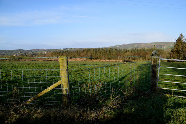 Wire fence, Corbally