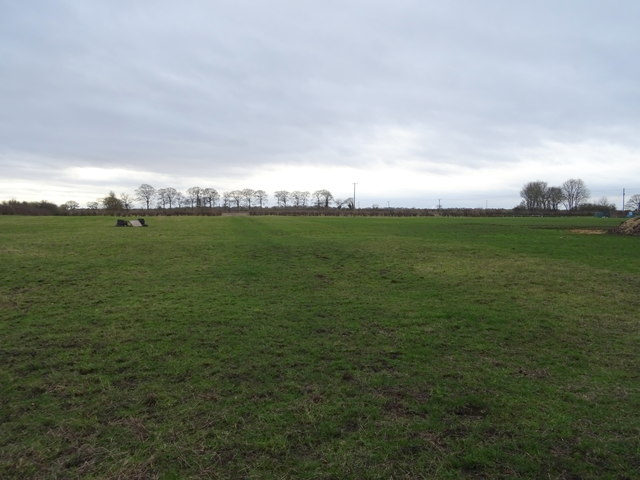 Grazing off Coniston Lane, Swine © JThomas cc-by-sa/2.0 :: Geograph ...