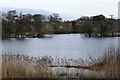 Balgavies Loch from Bird Hide