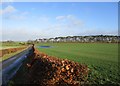 Farmland by Udston Road