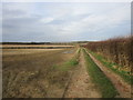 Farm track near Kelby Farm