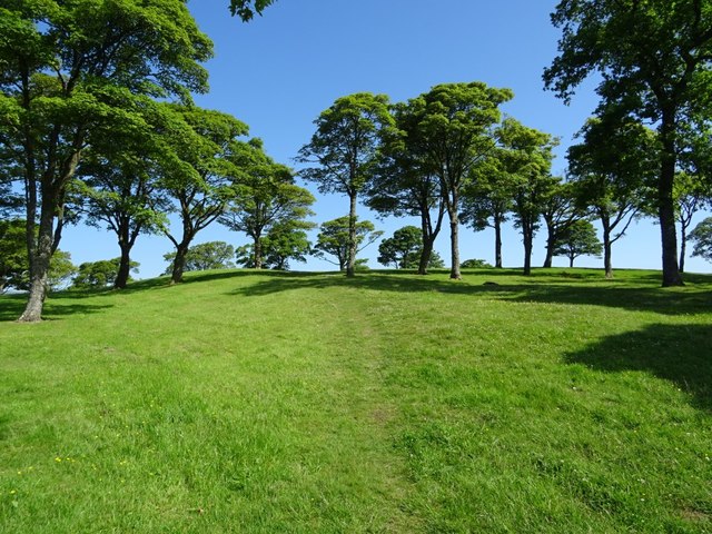 Trees on Bar Hill